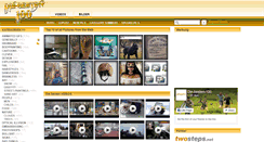 Desktop Screenshot of die-besten-100.de